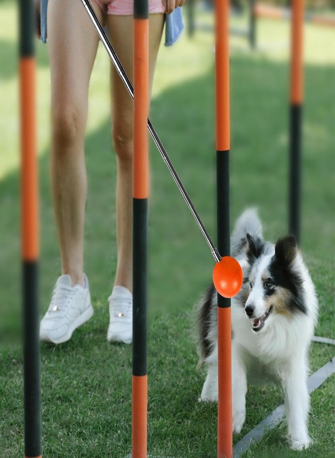 LASVIAL Training Kit - 1 Target Stick, 1 Training Clicker, 1 Whistle - Dog Training Equipment Tools, Cat Toilet Trainer Kit, Agility Training Lure Course For Dogs, Kitten Puppy Behavior Aids Trick (B Type) - Image 5